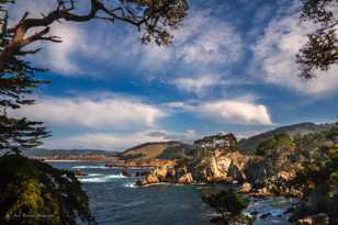 Point Lobos-9933.jpg Point Lobos-9933.jpg